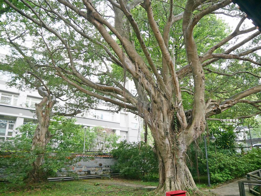 北投景點「前衛戍醫院北投分院-向陽心苑」古蹟巡禮門票優惠&溫泉泡腳池 北投景點「前衛戍醫院北投分院-向陽心苑」古蹟巡禮門票優惠&溫泉泡腳池