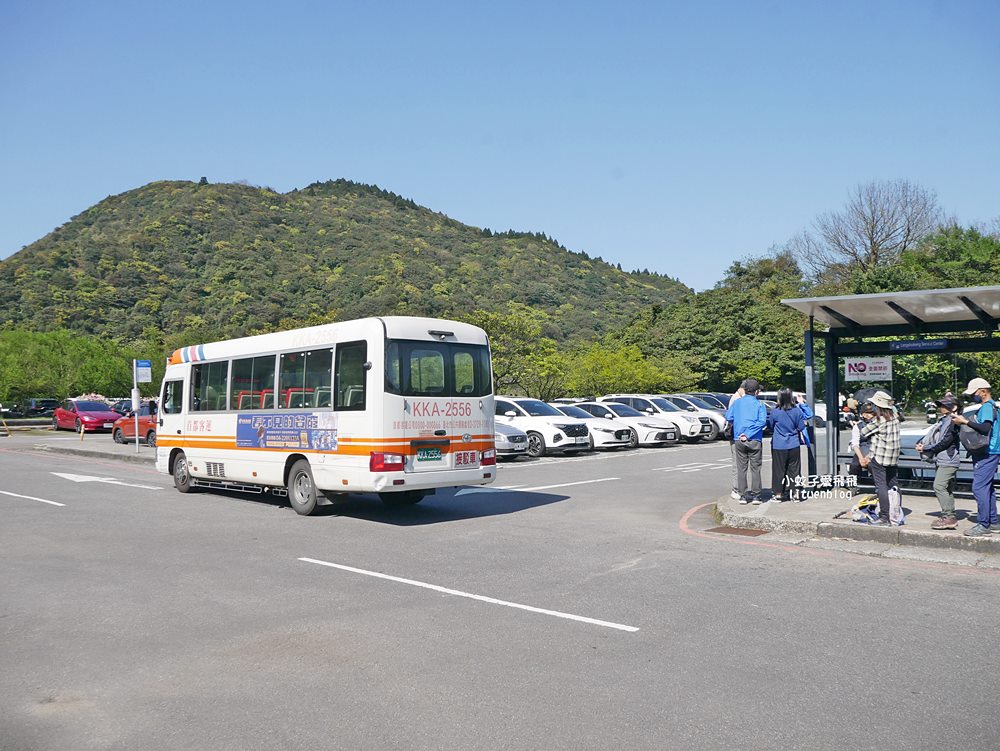 陽明山冷水坑冷擎步道牛奶湖景色交通介紹