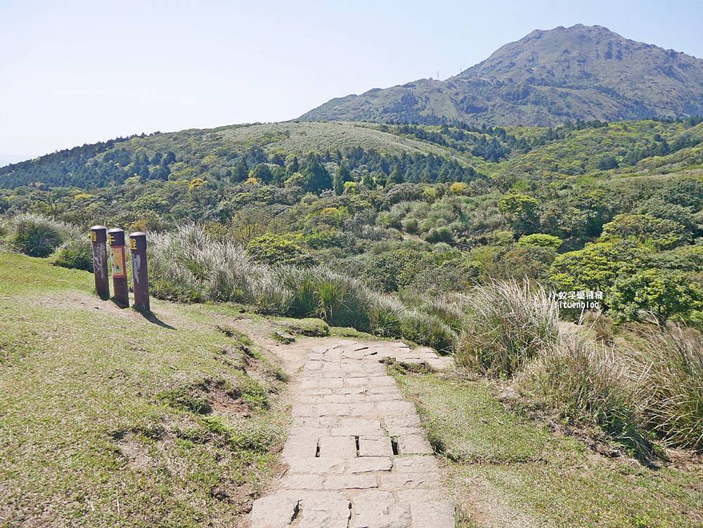 陽明山冷水坑冷擎步道牛奶湖景色交通介紹 陽明山冷水坑冷擎步道牛奶湖景色交通介紹
