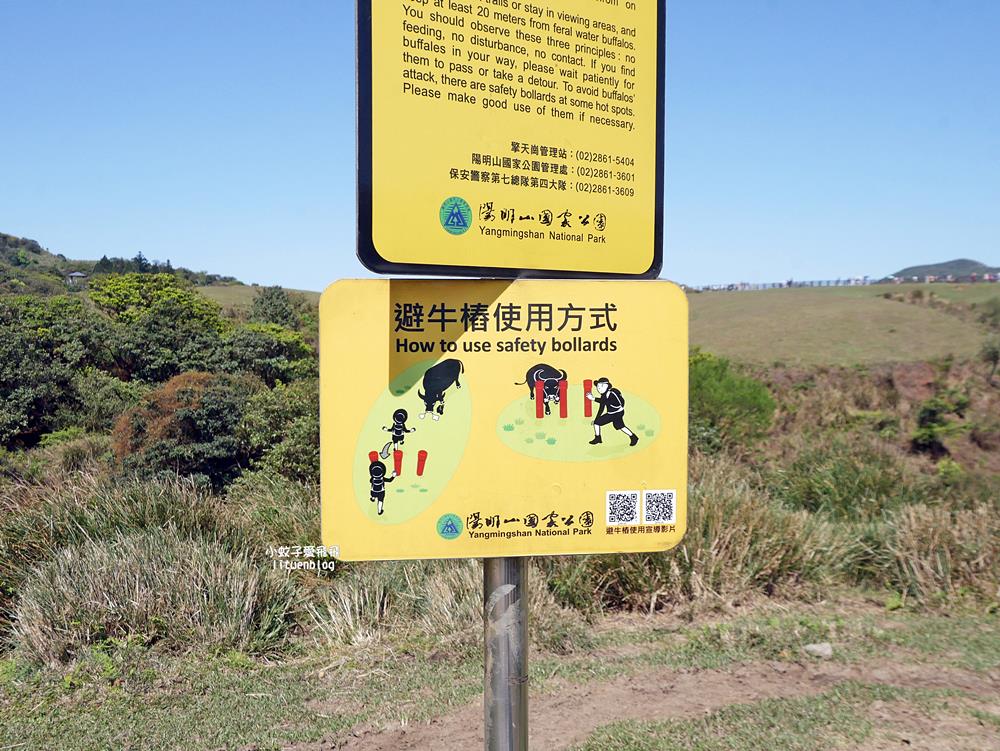 陽明山冷水坑冷擎步道牛奶湖景色交通介紹 陽明山冷水坑冷擎步道牛奶湖景色交通介紹