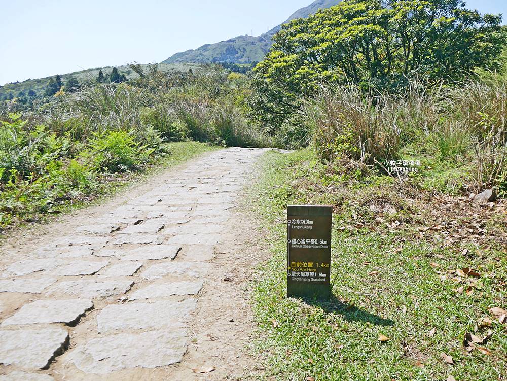 陽明山冷水坑冷擎步道牛奶湖景色交通介紹