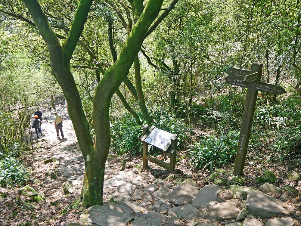 陽明山冷水坑冷擎步道牛奶湖景色交通介紹