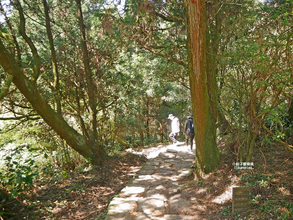 陽明山冷水坑冷擎步道牛奶湖景色交通介紹 陽明山冷水坑冷擎步道牛奶湖景色交通介紹