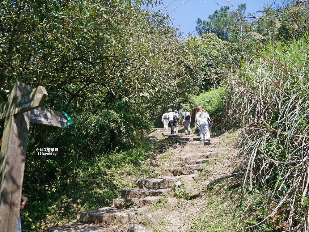 陽明山冷水坑冷擎步道牛奶湖景色交通介紹