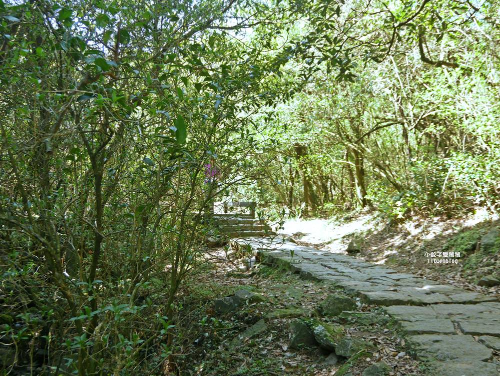陽明山冷水坑冷擎步道牛奶湖景色交通介紹 陽明山冷水坑冷擎步道牛奶湖景色交通介紹