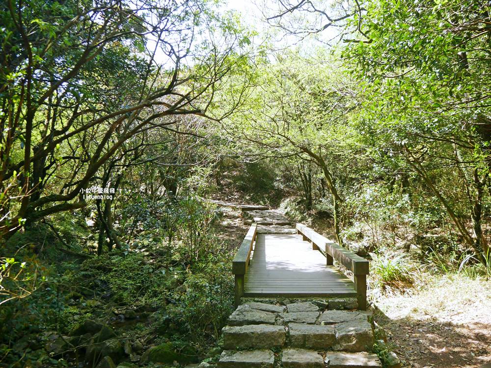 陽明山冷水坑冷擎步道牛奶湖景色交通介紹