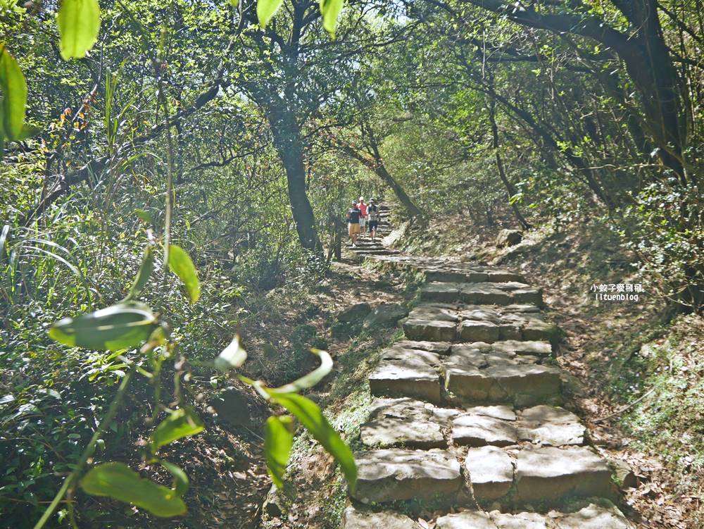 陽明山冷水坑冷擎步道牛奶湖景色交通介紹 陽明山冷水坑冷擎步道牛奶湖景色交通介紹