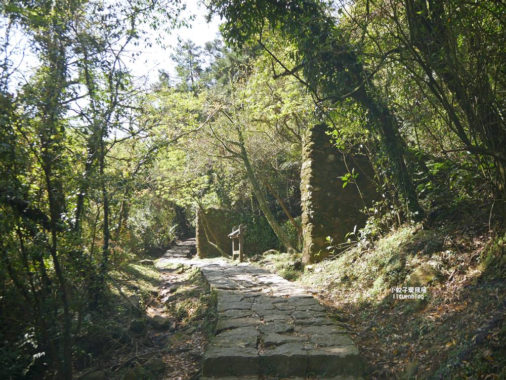 陽明山冷水坑冷擎步道牛奶湖景色交通介紹 陽明山冷水坑冷擎步道牛奶湖景色交通介紹