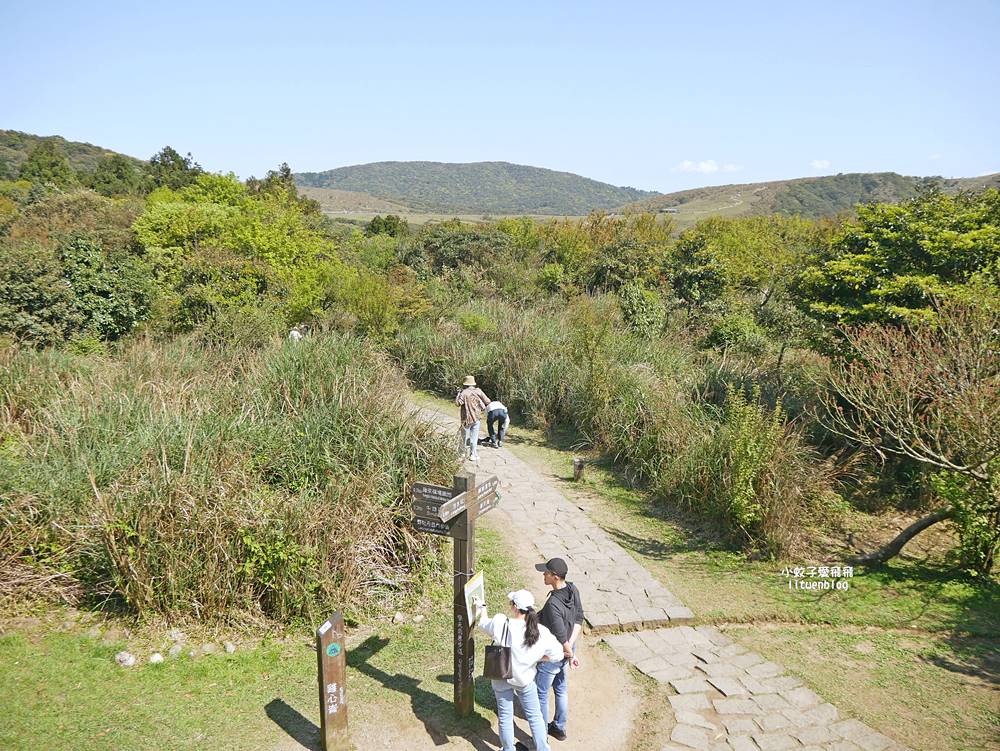陽明山冷水坑冷擎步道牛奶湖景色交通介紹