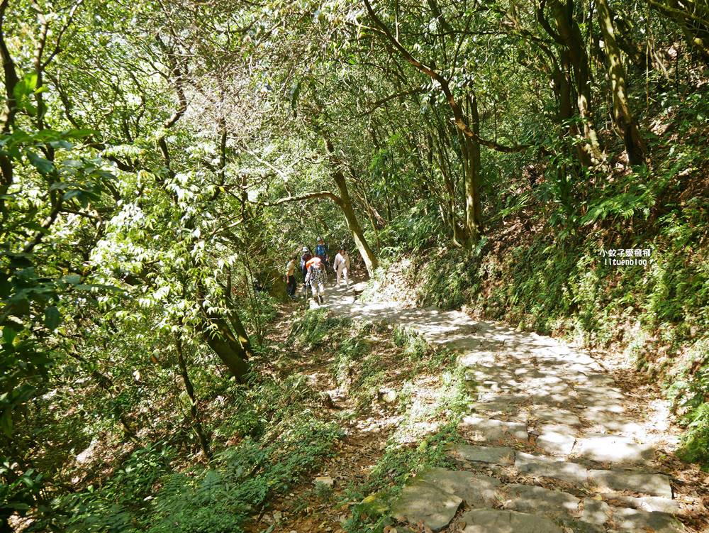 陽明山冷水坑冷擎步道牛奶湖景色交通介紹 陽明山冷水坑冷擎步道牛奶湖景色交通介紹
