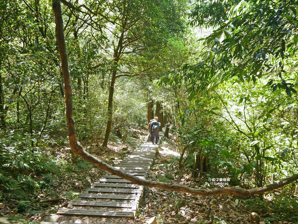 陽明山冷水坑冷擎步道牛奶湖景色交通介紹 陽明山冷水坑冷擎步道牛奶湖景色交通介紹
