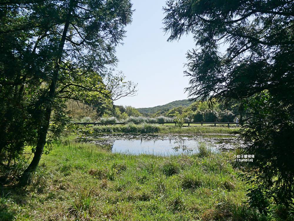 陽明山冷水坑冷擎步道牛奶湖景色交通介紹 陽明山冷水坑冷擎步道牛奶湖景色交通介紹