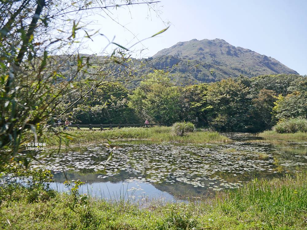陽明山冷水坑冷擎步道牛奶湖景色交通介紹