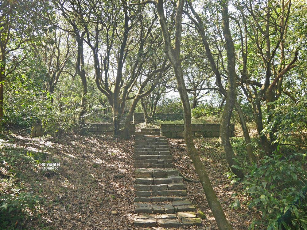 陽明山冷水坑冷擎步道牛奶湖景色交通介紹