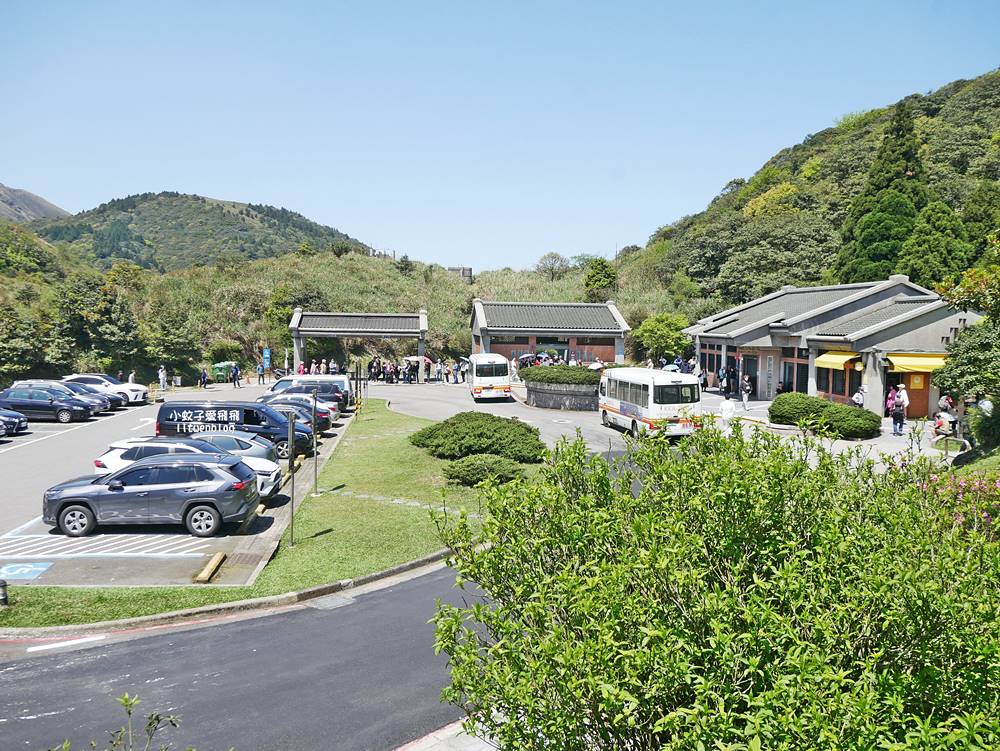 陽明山擎天崗大草原有牛相伴遠眺七星山主峰
