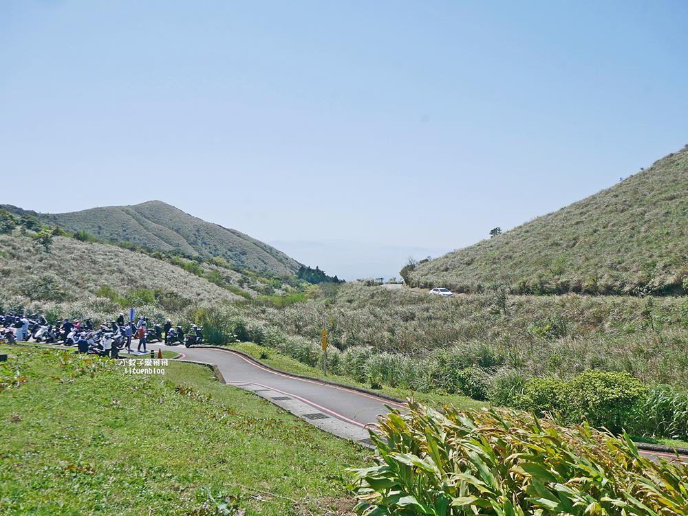 陽明山擎天崗大草原有牛相伴遠眺七星山主峰