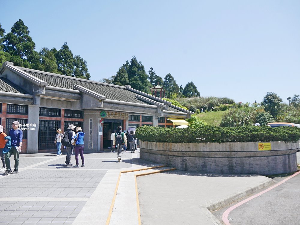 陽明山擎天崗大草原有牛相伴遠眺七星山主峰