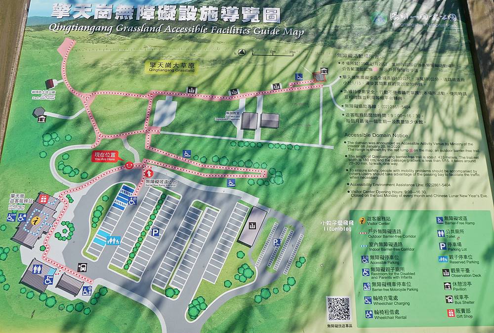 陽明山擎天崗大草原有牛相伴遠眺七星山主峰