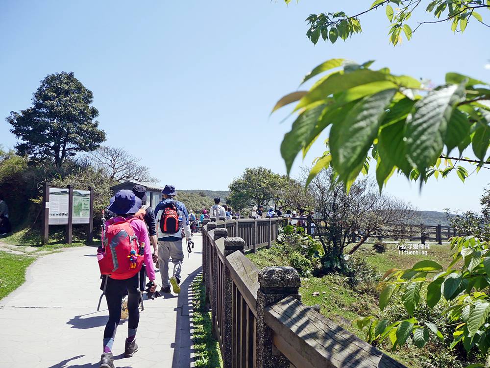 陽明山擎天崗大草原有牛相伴遠眺七星山主峰