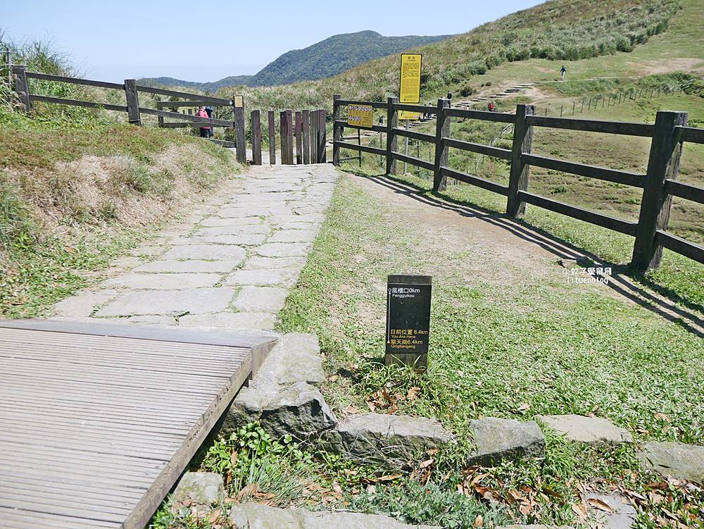 陽明山擎天崗大草原有牛相伴遠眺七星山主峰