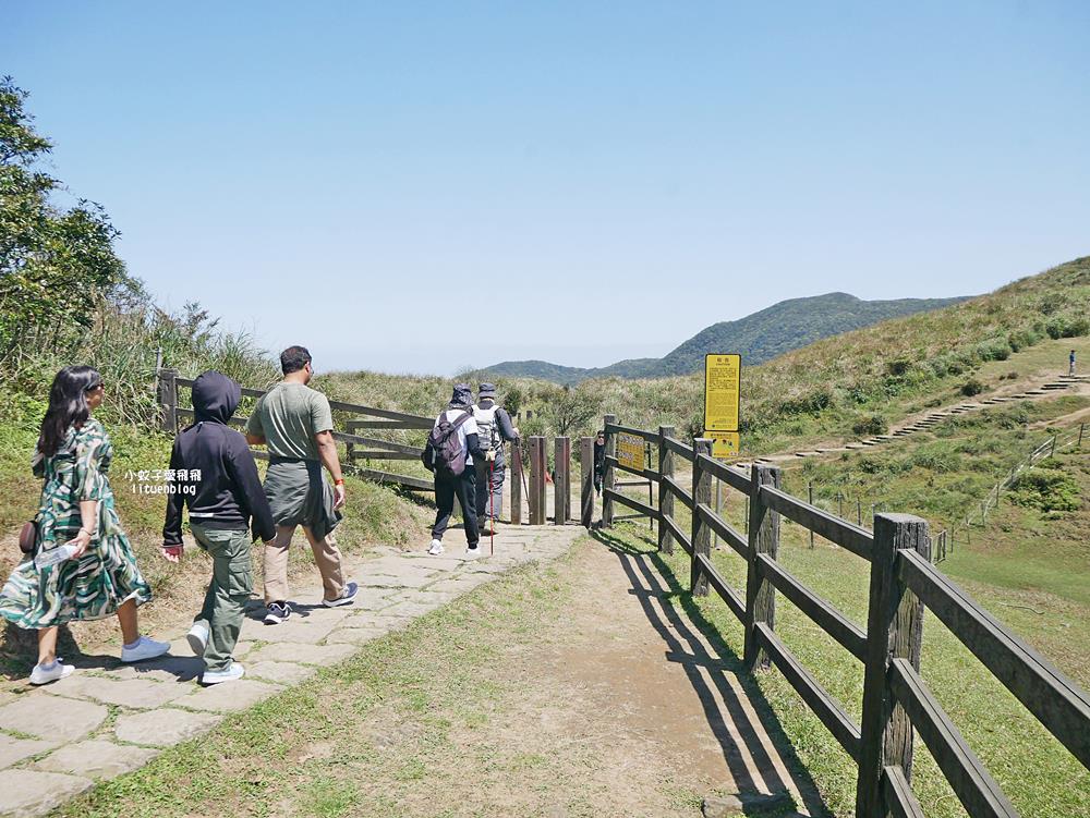 陽明山擎天崗大草原有牛相伴遠眺七星山主峰