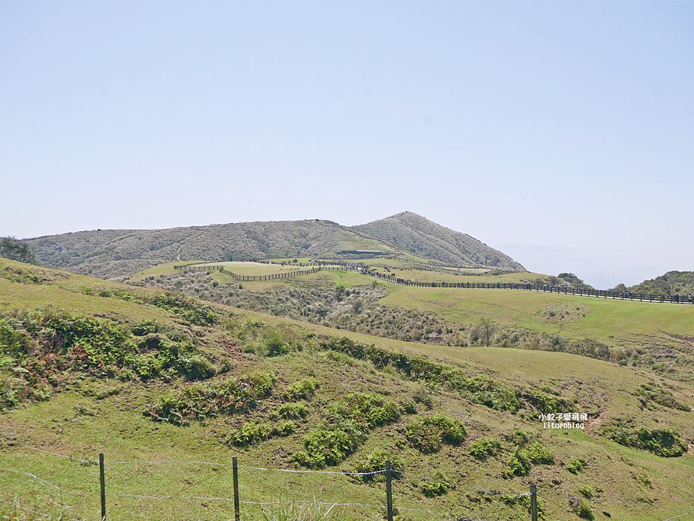 陽明山擎天崗大草原有牛相伴遠眺七星山主峰
