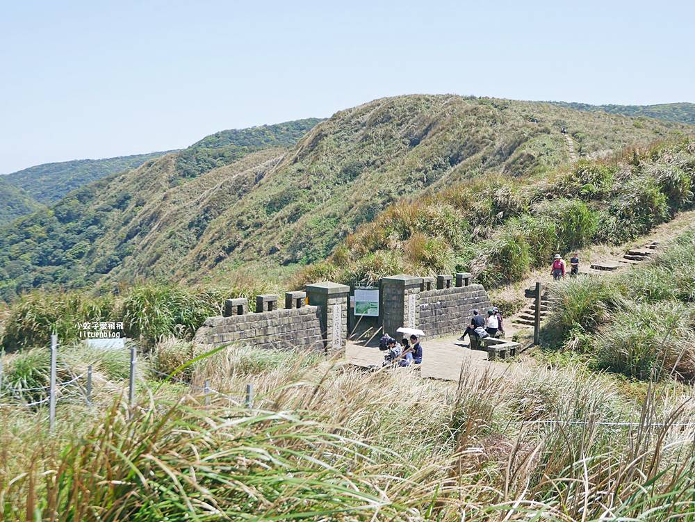 陽明山擎天崗大草原有牛相伴遠眺七星山主峰