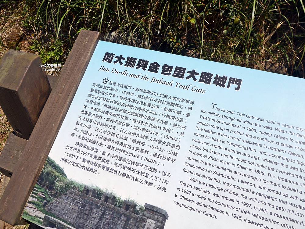 陽明山擎天崗大草原有牛相伴遠眺七星山主峰