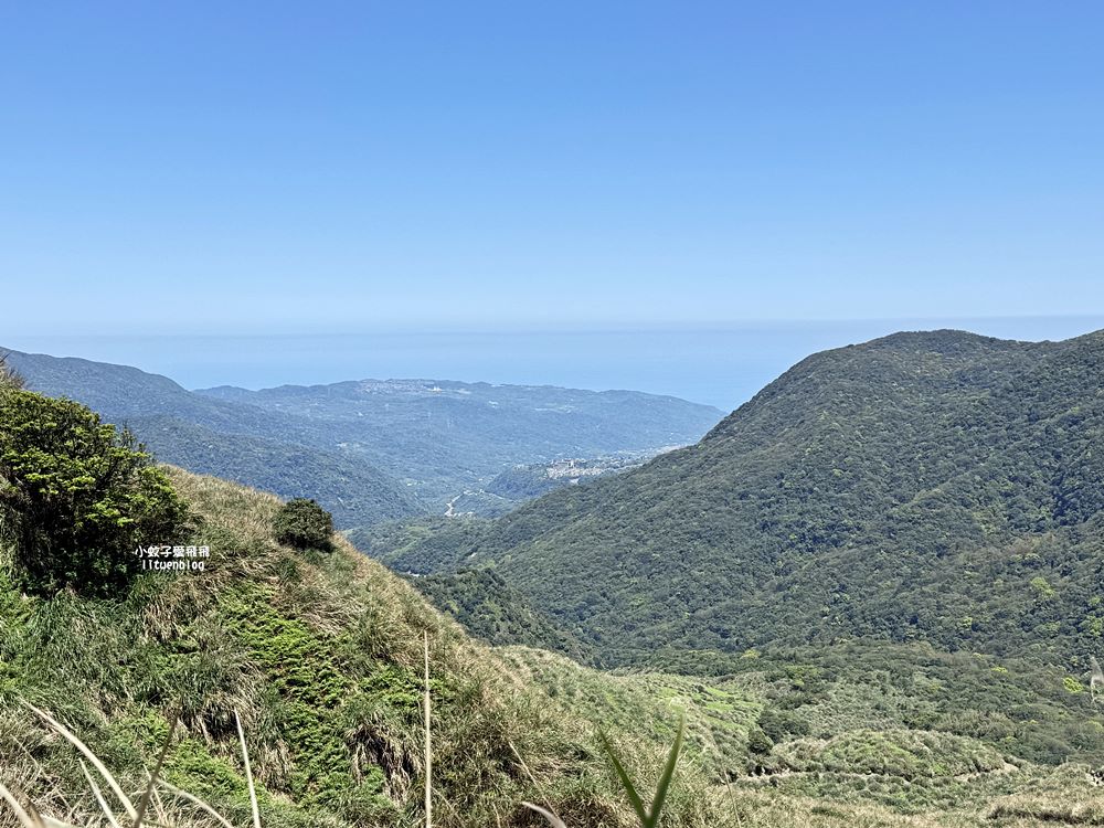 陽明山擎天崗大草原有牛相伴遠眺七星山主峰