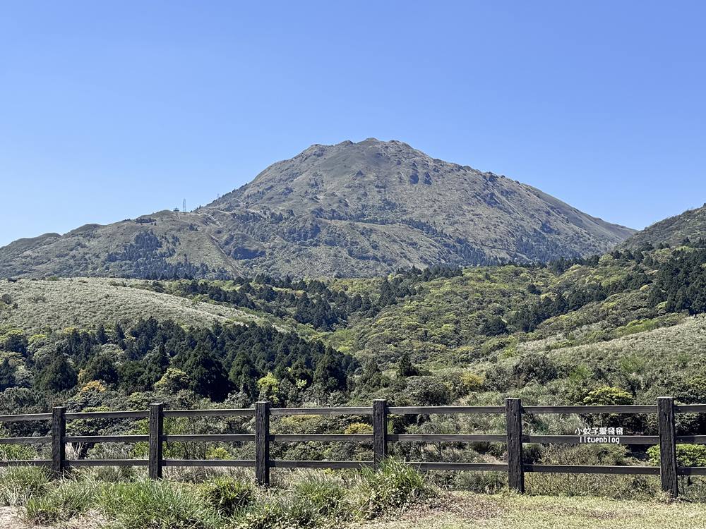 陽明山擎天崗大草原有牛相伴遠眺七星山主峰