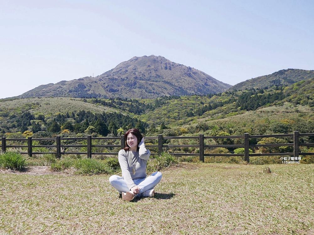 陽明山擎天崗大草原有牛相伴遠眺七星山主峰
