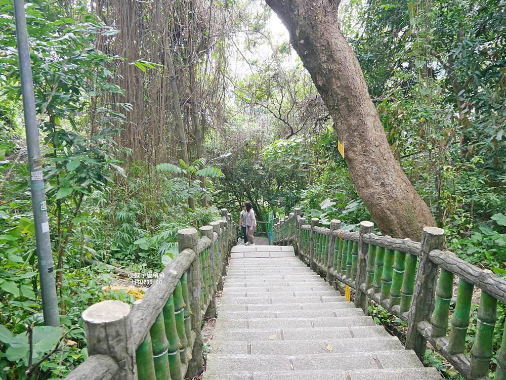 「劍潭山步道北眼平台」觀飛機起降台北101陽明山觀音山白天夜景都很美 「劍潭山步道北眼平台」觀飛機起降台北101陽明山觀音山白天夜景都很美