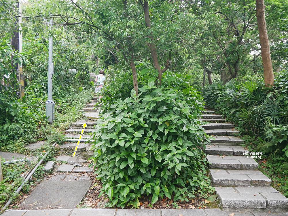「劍潭山步道北眼平台」觀飛機起降台北101陽明山觀音山白天夜景都很美 「劍潭山步道北眼平台」觀飛機起降台北101陽明山觀音山白天夜景都很美