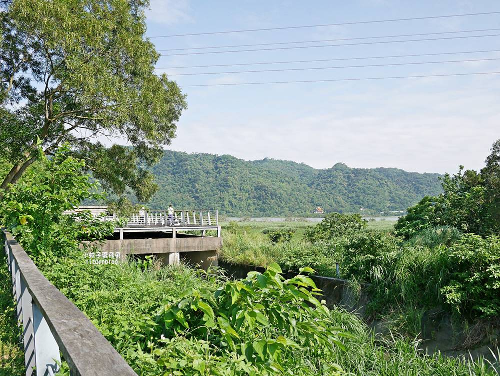 新北鶯歌自行車道｜大漢溪左岸山水秘境，親子輕鬆騎、鳶山堰河岸美景一日遊攻略