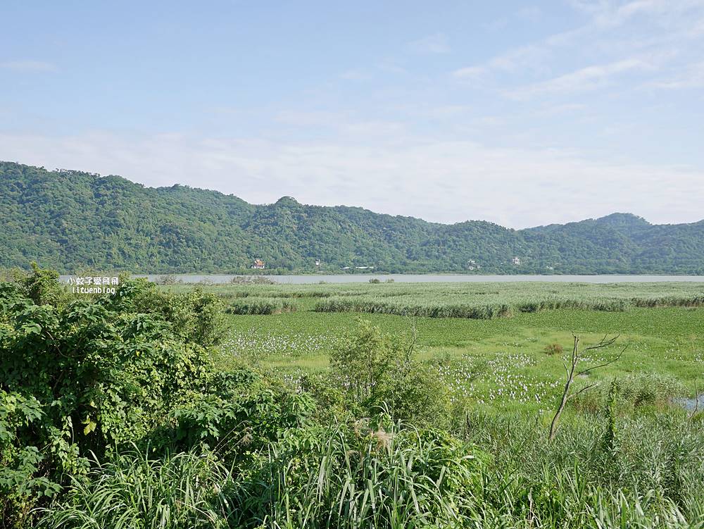 新北鶯歌自行車道|大漢溪左岸山水秘境,親子輕鬆騎、鳶山堰河岸美景一日遊攻略 新北鶯歌自行車道|大漢溪左岸山水秘境,親子輕鬆騎、鳶山堰河岸美景一日遊攻略