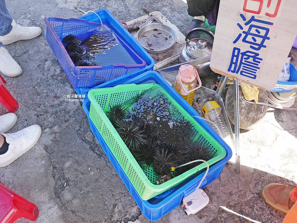 二訪馬崗漁港台灣極東小漁村，戲水潮間帶生態啖小卷米粉石花凍