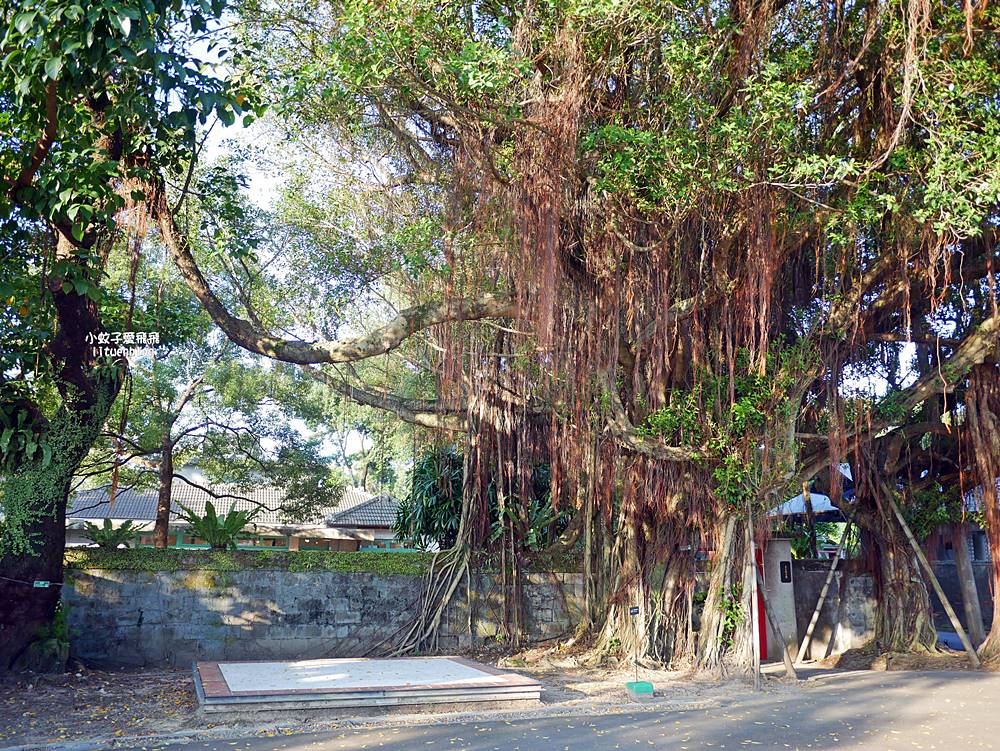 公館「嘉禾新村」台北人也不一定知道的將軍眷村，日治時期的招待所、將軍巷、防空洞