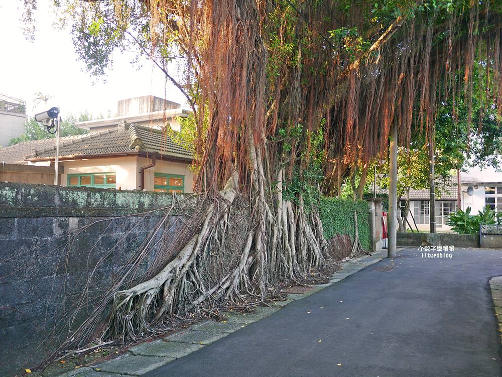 公館「嘉禾新村」台北人也不一定知道的將軍眷村，日治時期的招待所、將軍巷、防空洞