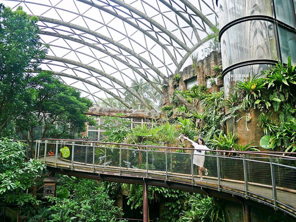 臺北市立動物園各大特色館，必遊熱帶雨林穿山甲館親身貼近小動物們