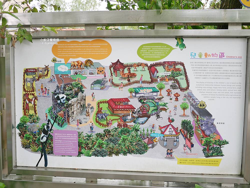 臺北市立動物園各大特色館，必遊熱帶雨林穿山甲館親身貼近小動物們