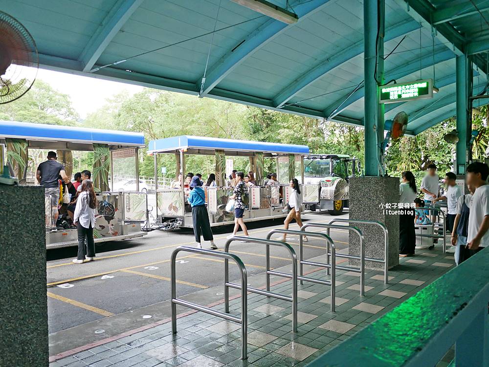 臺北市立動物園各大特色館，必遊熱帶雨林穿山甲館親身貼近小動物們