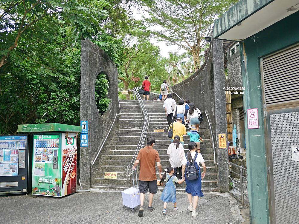 臺北市立動物園各大特色館，必遊熱帶雨林穿山甲館親身貼近小動物們