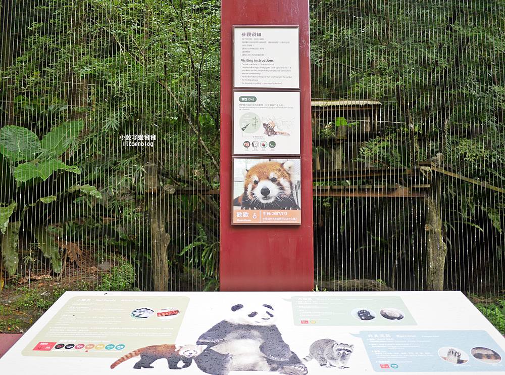 臺北市立動物園各大特色館，必遊熱帶雨林穿山甲館親身貼近小動物們