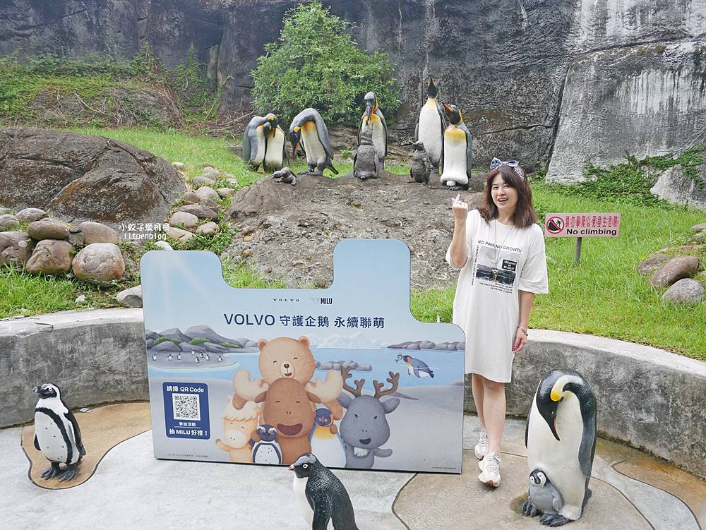 臺北市立動物園各大特色館，必遊熱帶雨林穿山甲館親身貼近小動物們