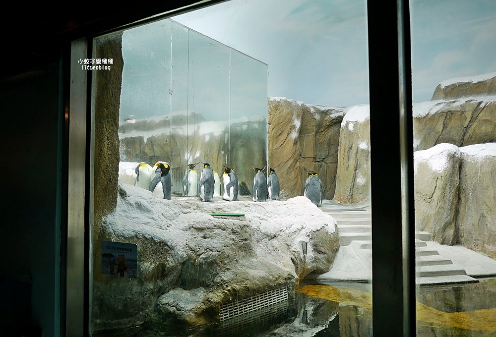 臺北市立動物園各大特色館，必遊熱帶雨林穿山甲館親身貼近小動物們