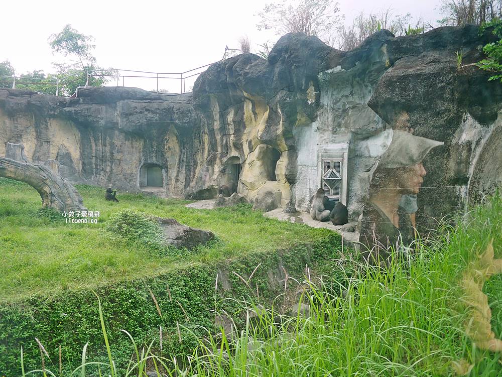 臺北市立動物園各大特色館，必遊熱帶雨林穿山甲館親身貼近小動物們