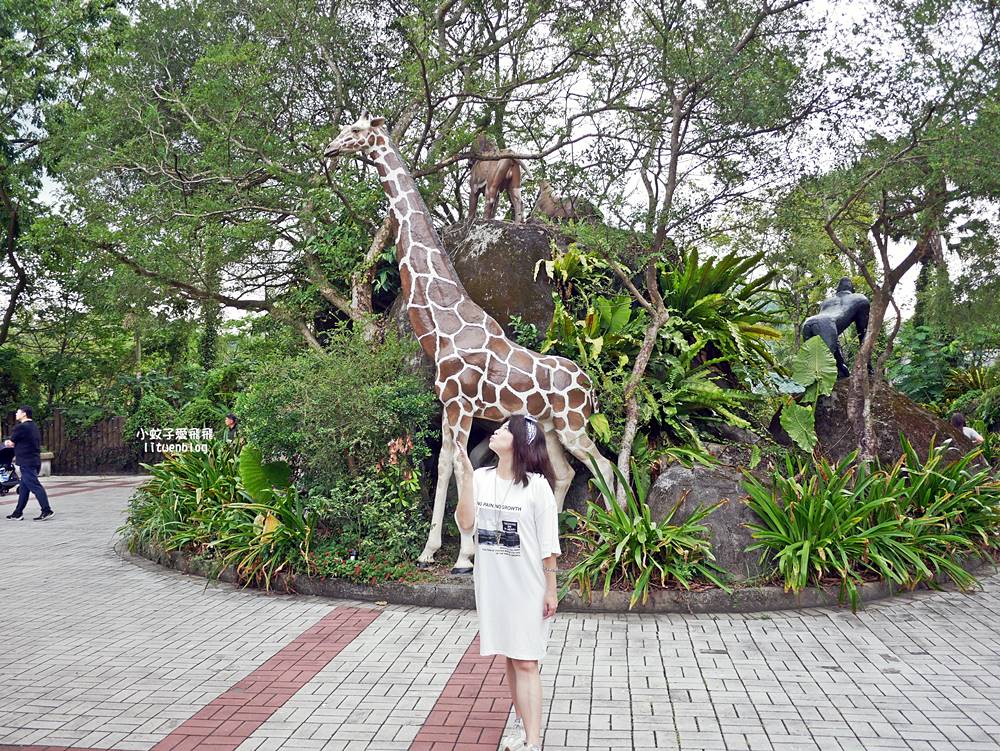 臺北市立動物園各大特色館，必遊熱帶雨林穿山甲館親身貼近小動物們