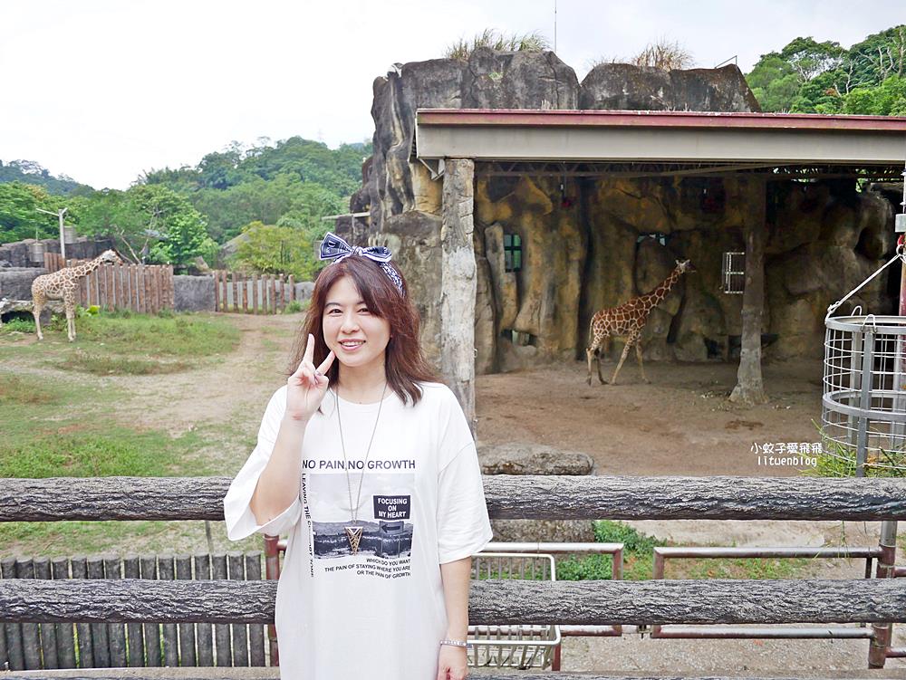 臺北市立動物園各大特色館，必遊熱帶雨林穿山甲館親身貼近小動物們