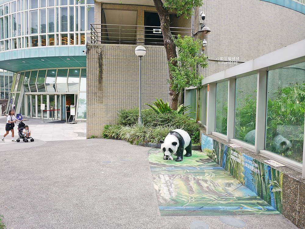 臺北市立動物園各大特色館，必遊熱帶雨林穿山甲館親身貼近小動物們