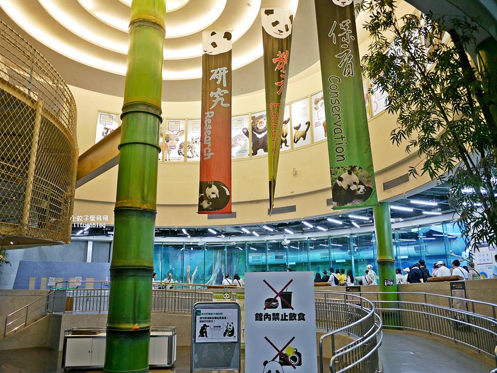 臺北市立動物園各大特色館，必遊熱帶雨林穿山甲館親身貼近小動物們